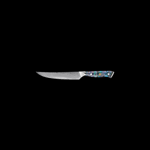 Aonami Damascus Paring Knife